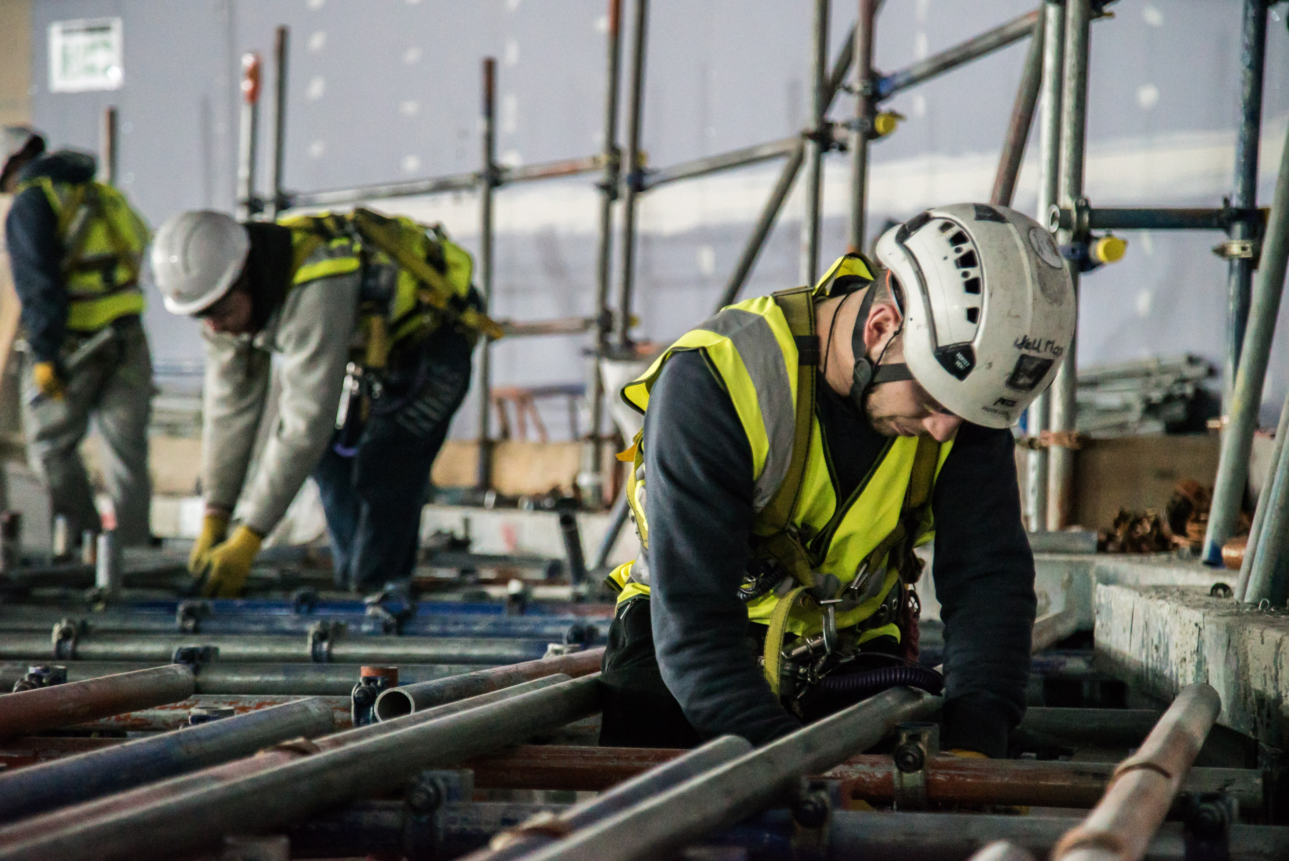 wellmax - BANNER IMAGE