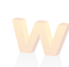 wellmax contact background